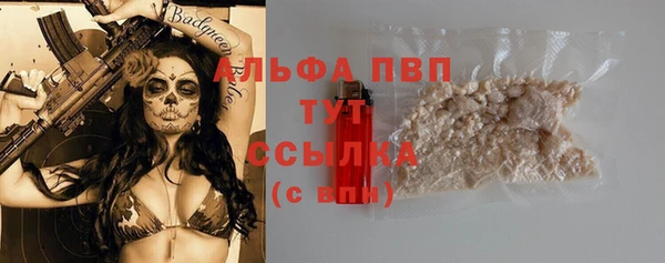 прущий лед Ельня