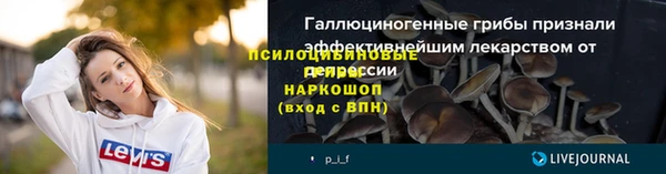 скорость Елизово