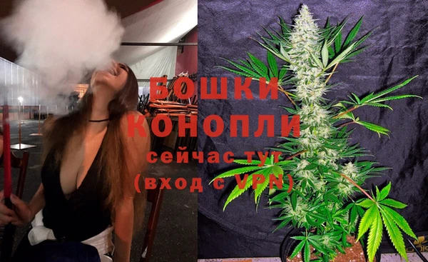 прущий лед Ельня