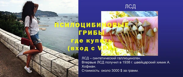 прущий лед Ельня