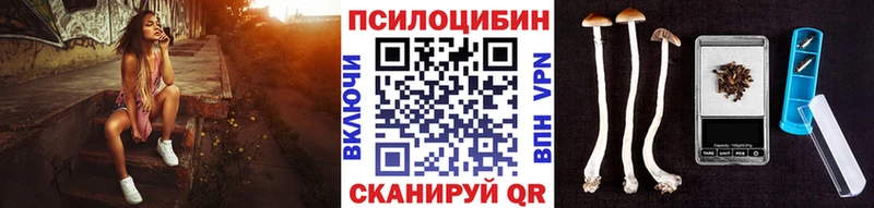Псилоцибиновые грибы Psilocybe Купить где Белозерск