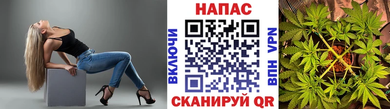 Бошки Шишки Amnesia  Купить закладки  Белозерск 
